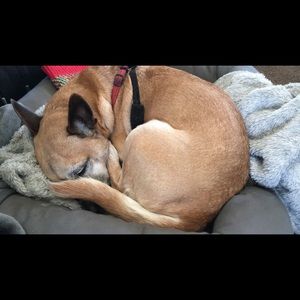 Meet your Posher, Ofelia